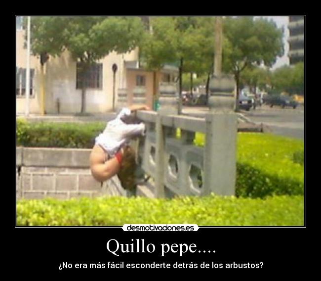 Quillo pepe.... - ¿No era más fácil esconderte detrás de los arbustos?