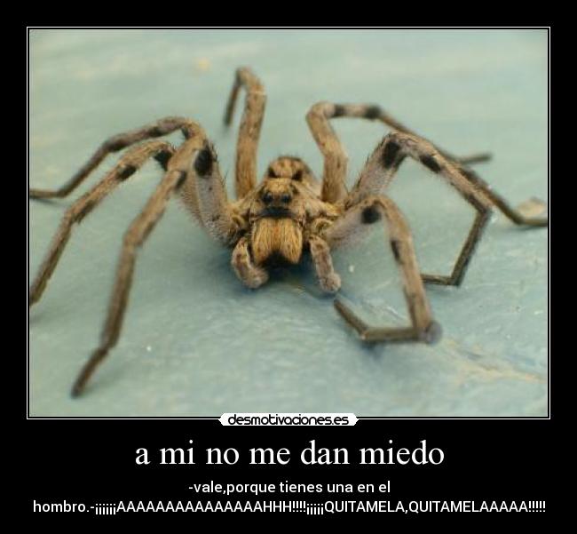 a mi no me dan miedo - -vale,porque tienes una en el
hombro.-¡¡¡¡¡¡AAAAAAAAAAAAAAAHHH!!!!¡¡¡¡¡QUITAMELA,QUITAMELAAAAA!!!!!