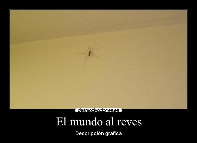 El mundo al reves - Descripción grafica