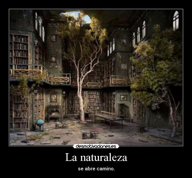 La naturaleza - se abre camino.