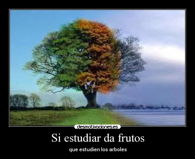 Si estudiar da frutos -