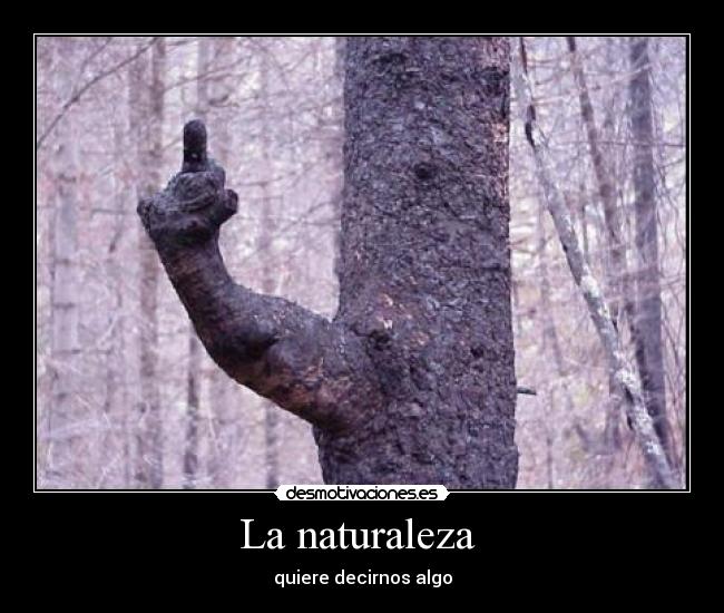 La naturaleza  - 