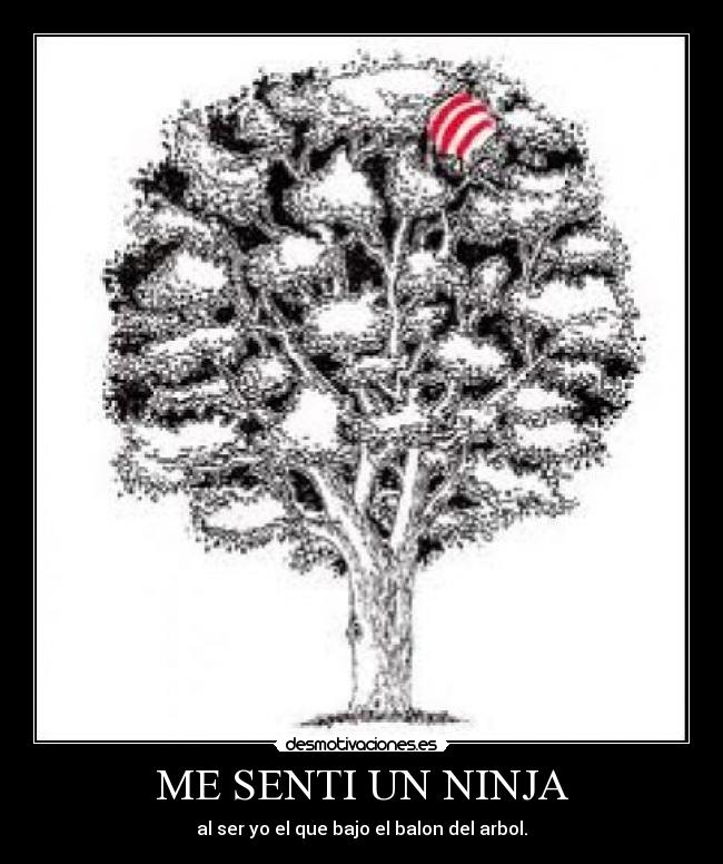 ME SENTI UN NINJA -