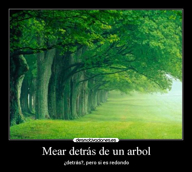 Mear detrás de un arbol - ¿detrás?, pero si es redondo