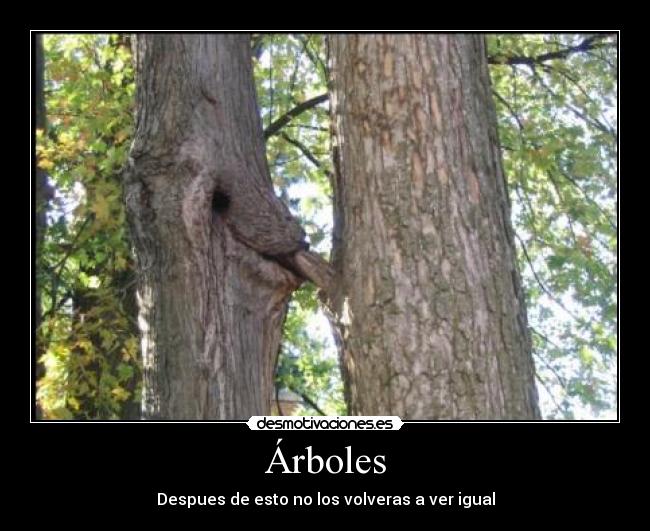 Árboles -