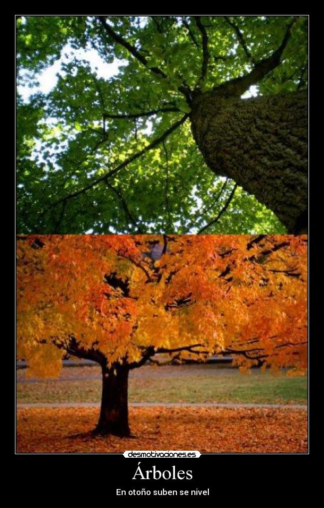 Árboles -