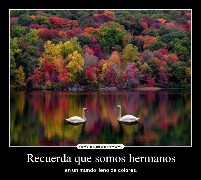 Recuerda que somos hermanos -
