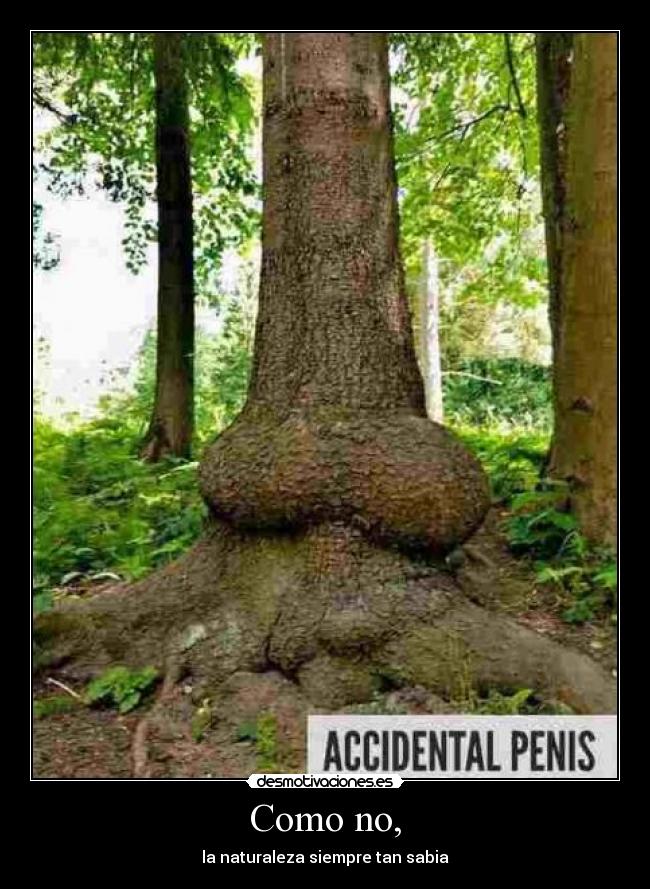 Como no, - la naturaleza siempre tan sabia