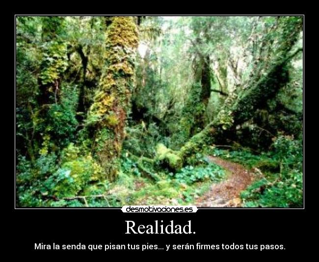 carteles  desmotivaciones