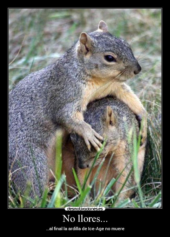 No llores... -