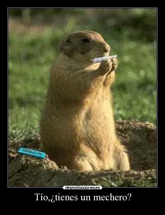 carteles tio tienes mechero desmotivaciones