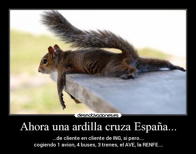 Ahora una ardilla cruza España... - 