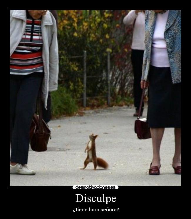 Disculpe - ¿Tiene hora señora?