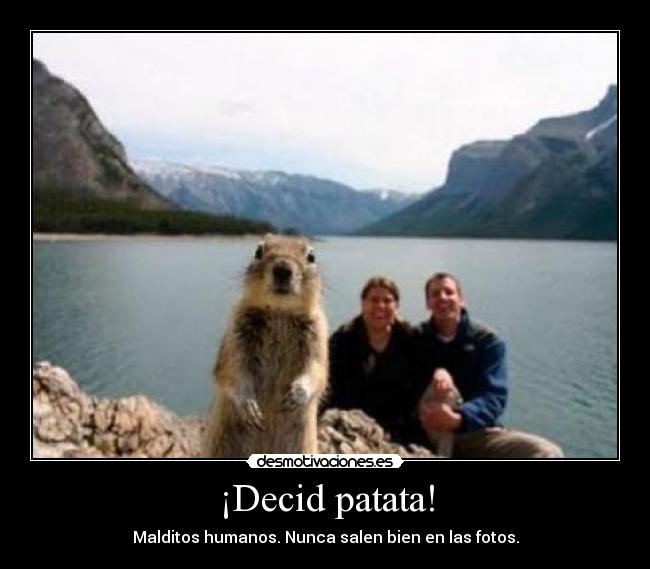 ¡Decid patata! - Malditos humanos. Nunca salen bien en las fotos.