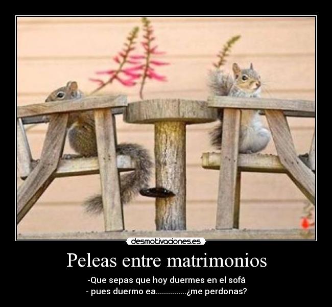 carteles desmotivaciones