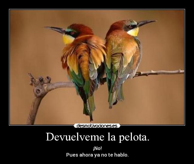 carteles pajaro enfadado pelota desmotivaciones