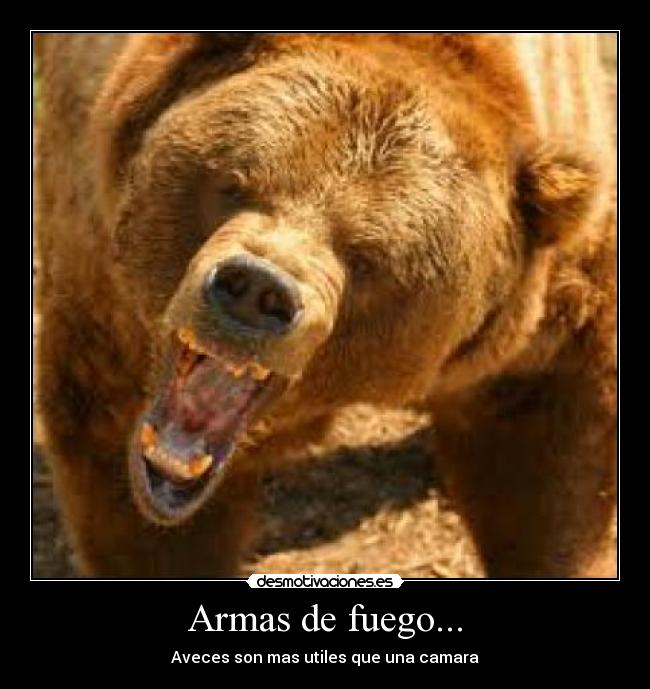 carteles jumperlbh edgenero akos desmotivaciones