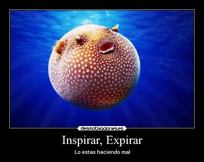 Inspirar, Expirar - Lo estas haciendo mal