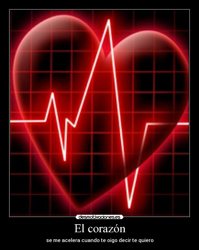 El corazón -