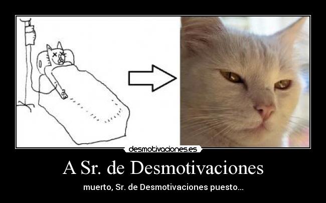 A Sr. de Desmotivaciones -