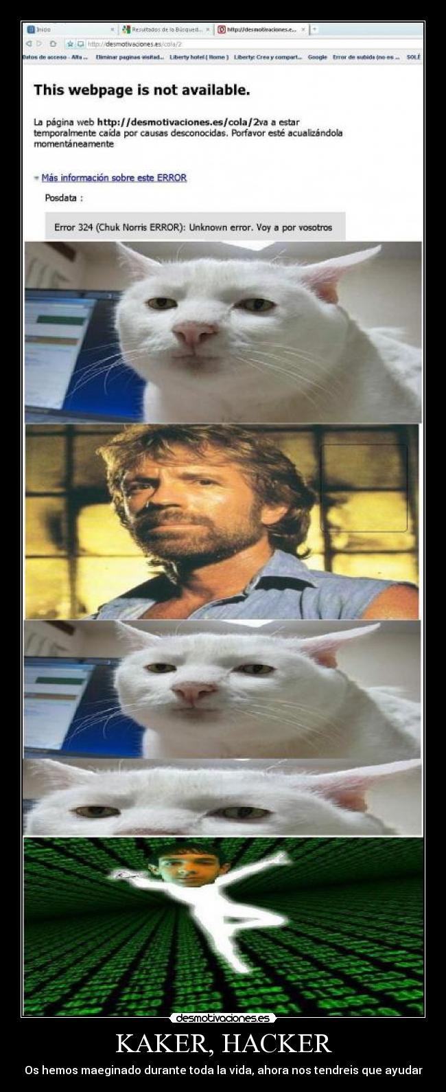 carteles kaker hacker jaja desmotivante chuk norris senor desmotivaciones mucho desmotivaciones