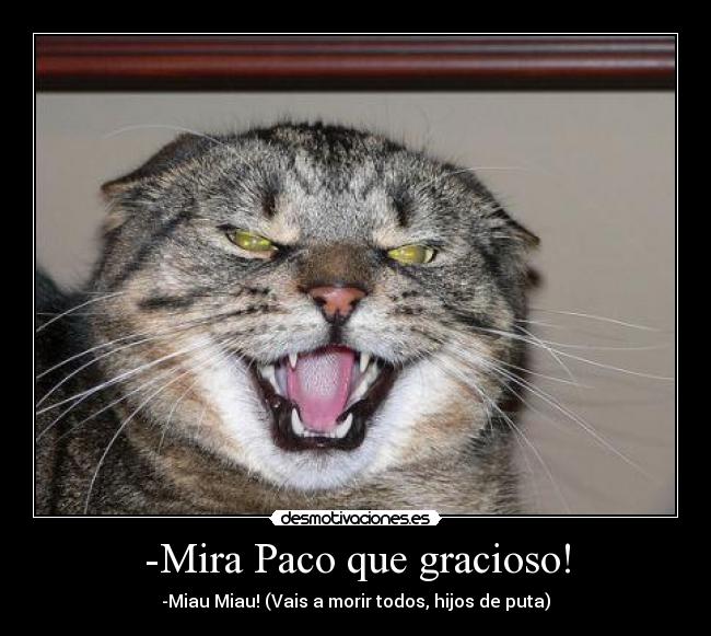 -Mira Paco que gracioso! - -Miau Miau! (Vais a morir todos, hijos de puta)