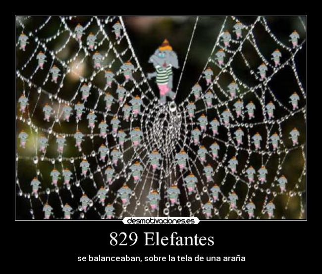 829 Elefantes -