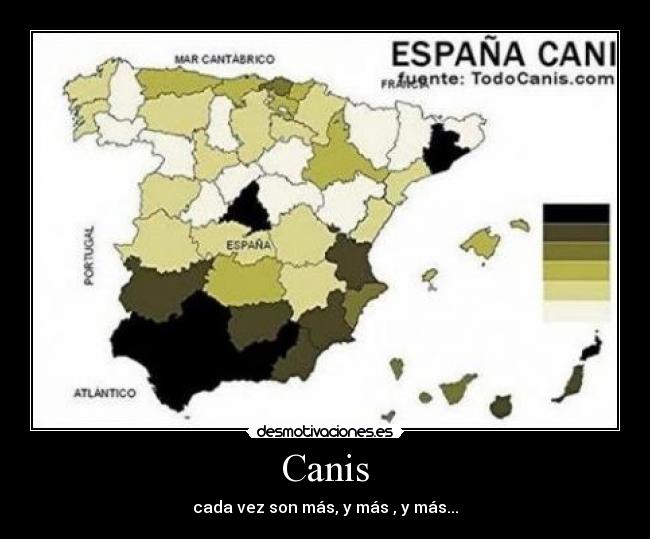 Canis - cada vez son más, y más , y más...