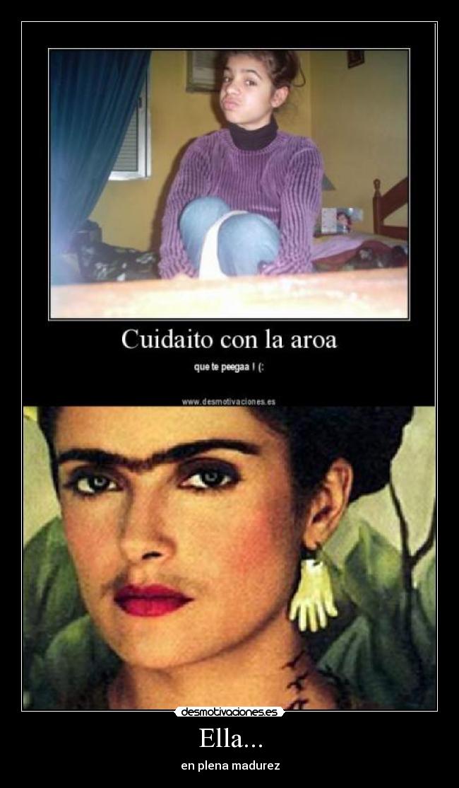 carteles aroita plena madurez desmotivaciones