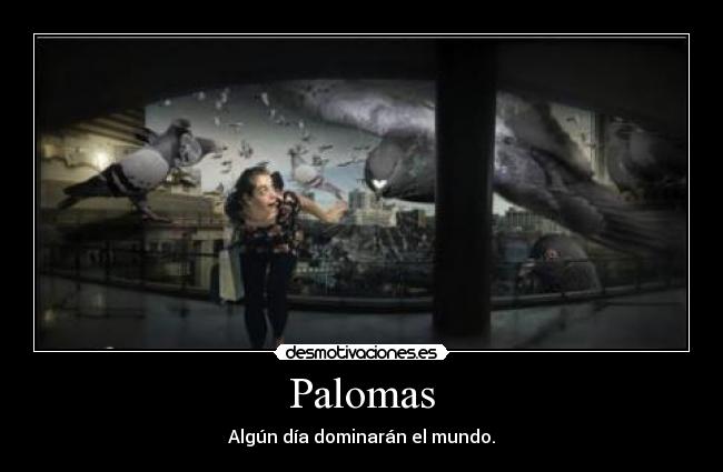 Palomas - 