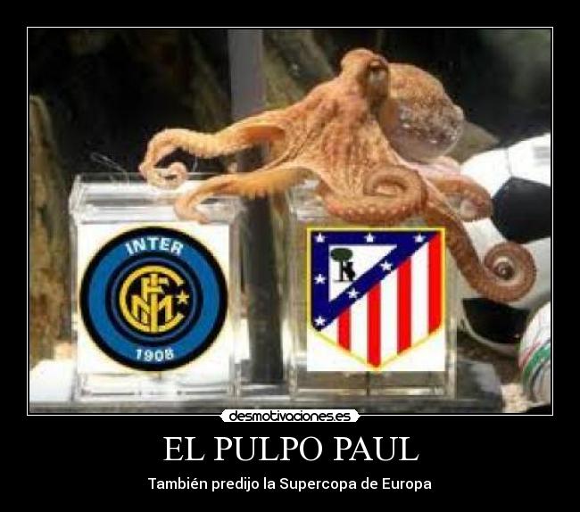 EL PULPO PAUL -