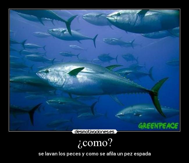 ¿como? -