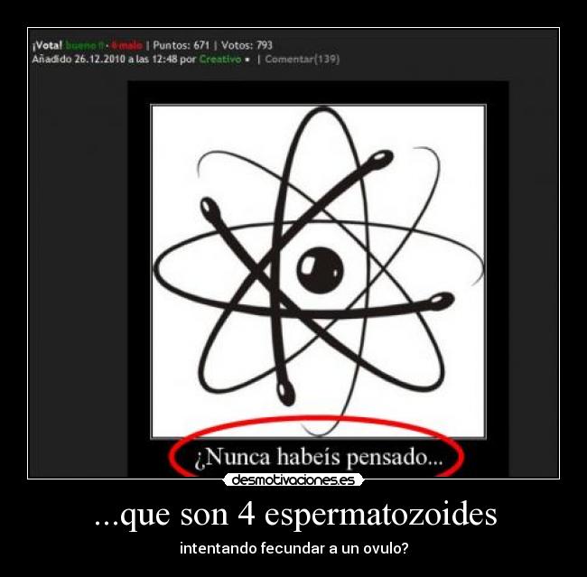 ...que son 4 espermatozoides -