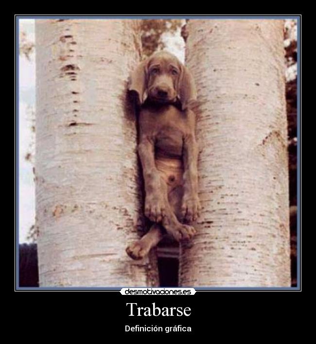 Trabarse -