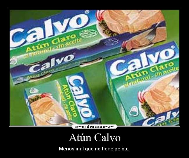 carteles atun calvo desmotivaciones