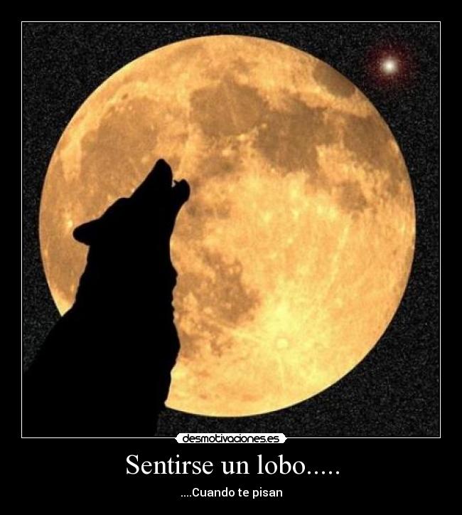 Sentirse un lobo..... -