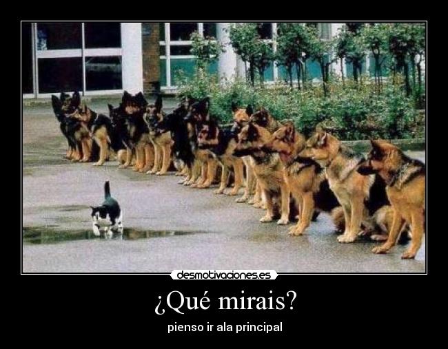 ¿Qué mirais? -