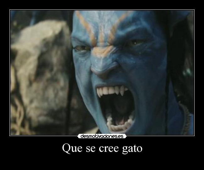 Que se cree gato - 