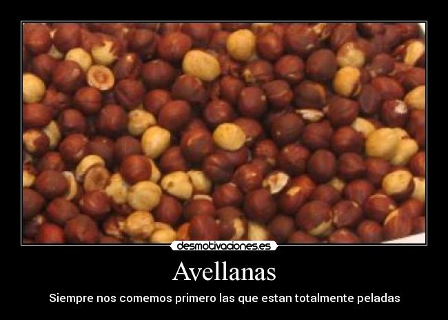 carteles avellanas desmotivaciones