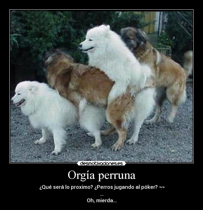 Orgía perruna -