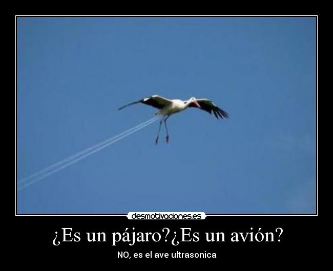 ¿Es un pájaro?¿Es un avión? - 