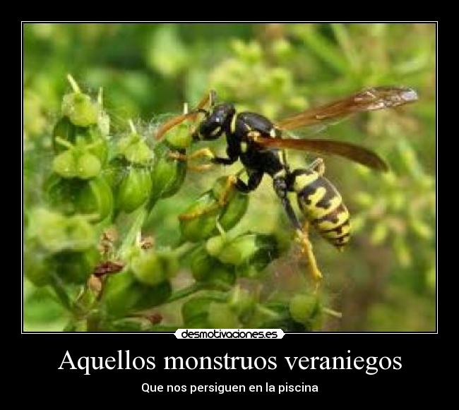 Aquellos monstruos veraniegos - 