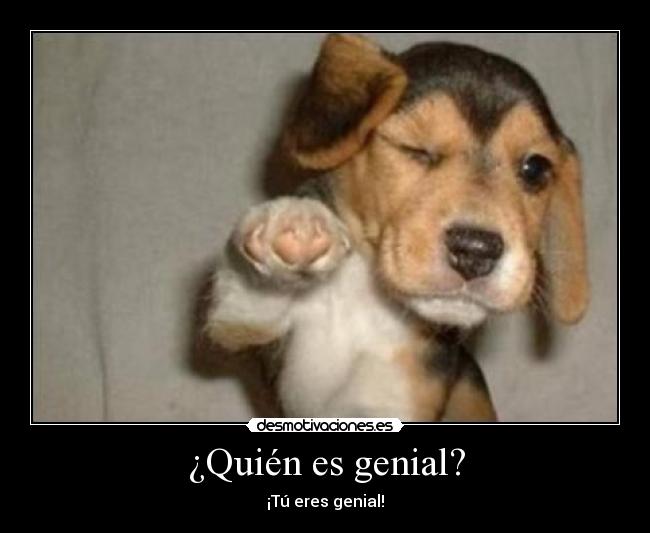 ¿Quién es genial? - 