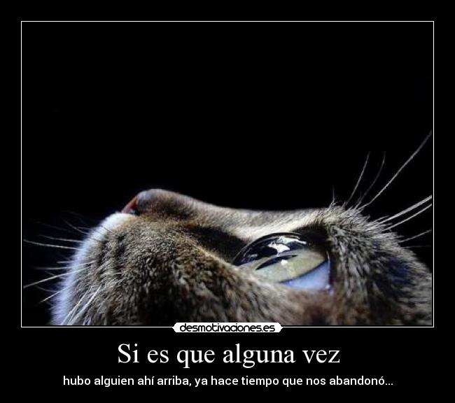 Si es que alguna vez - hubo alguien ahí arriba, ya hace tiempo que nos abandonó...