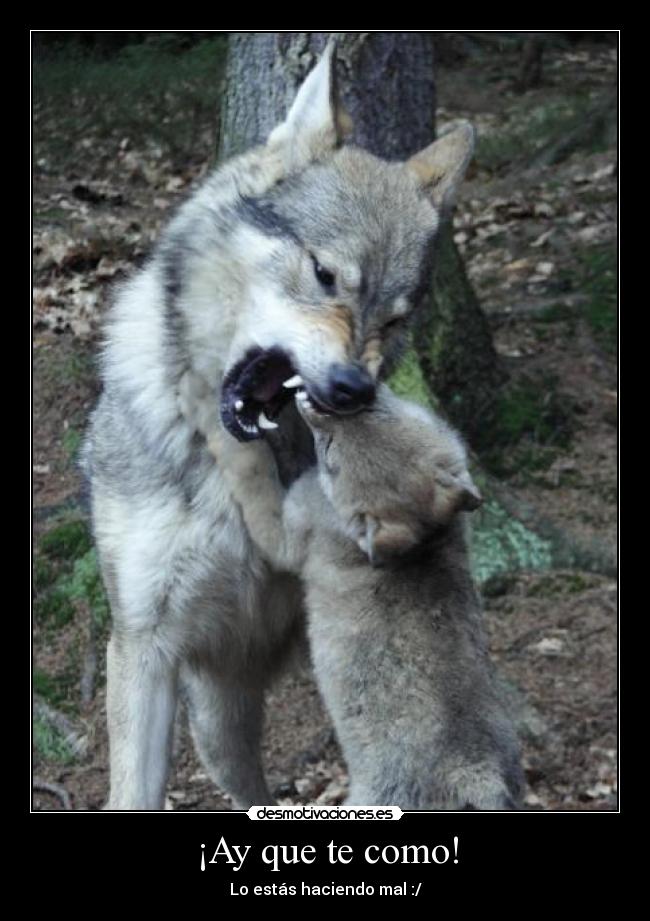 carteles yuju desmotivaciones