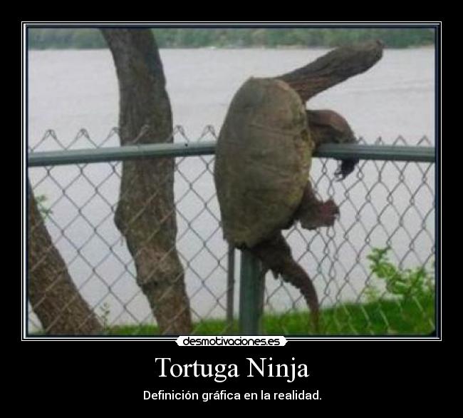 carteles que locura desmotivaciones