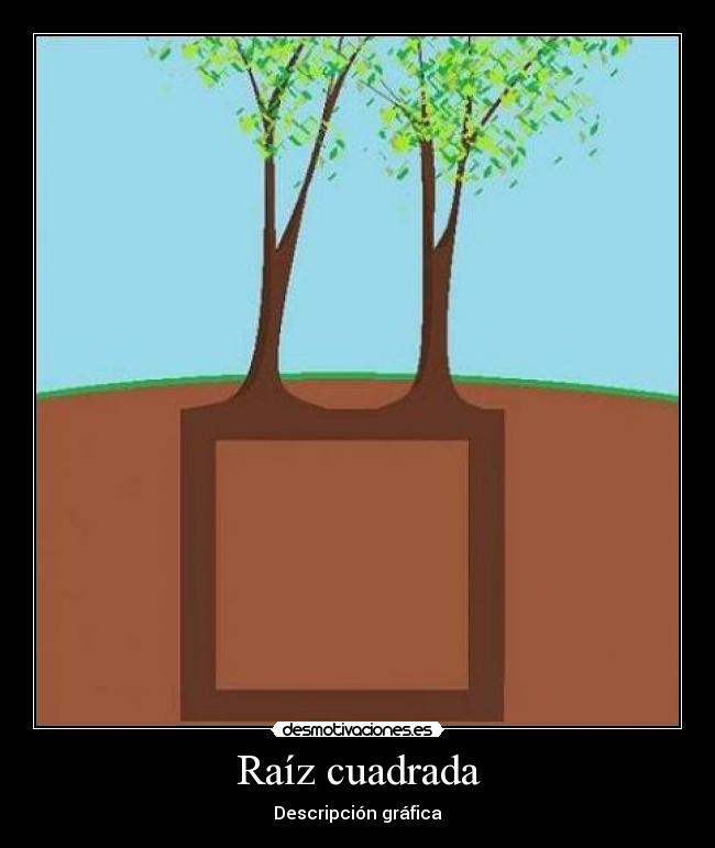 Raíz cuadrada - Descripción gráfica