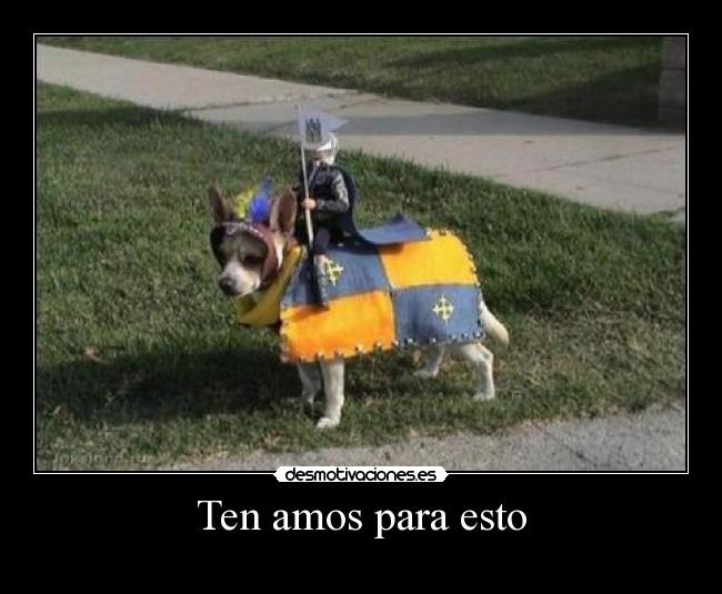 Ten amos para esto -