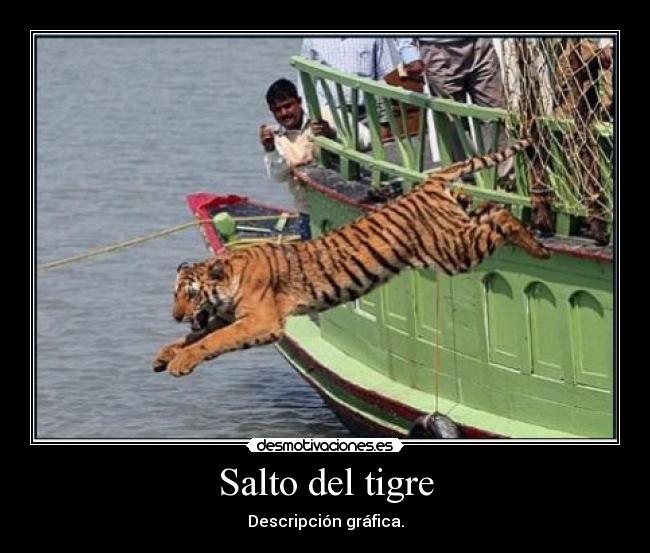 Salto del tigre - Descripción gráfica.