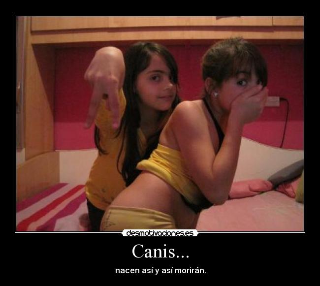 Canis... -
